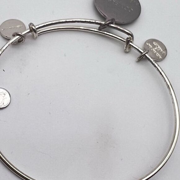 Alex and Ani Women's Color Infusion Avocado Compass Expandable Bangle Bracelet - Picture 5 of 6